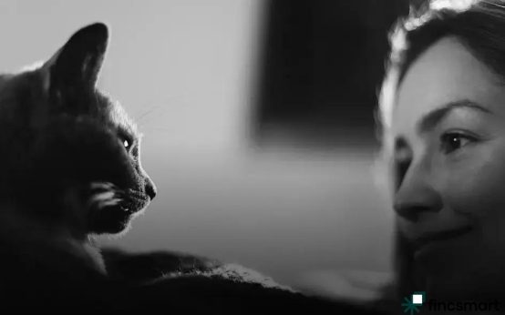 Aquatic Plants and Decorations Guide: Enhance Your Aquarium