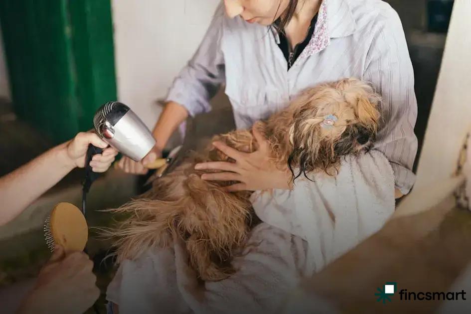 Benefits of Regular Grooming