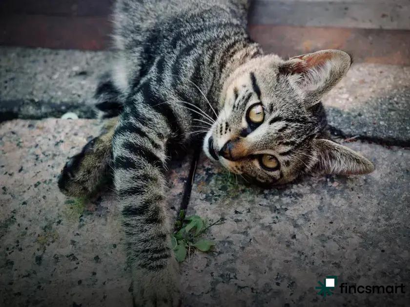 Bird Care Basics for Pet Owners: Essential Tips & Tricks