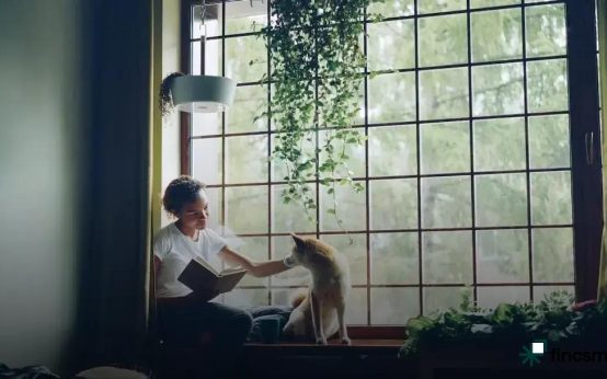 Cat Nutrition: Wet vs Dry Food - Discover the Benefits