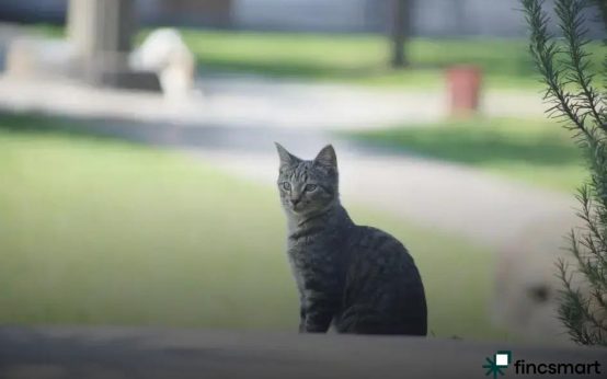 Choosing the Right Aquarium Size: Discover the Perfect Fit