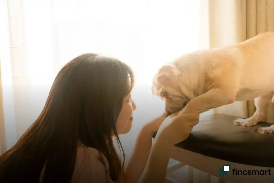 Choosing the Right Dog Bed: A Perfect Fit for Furry Comfort