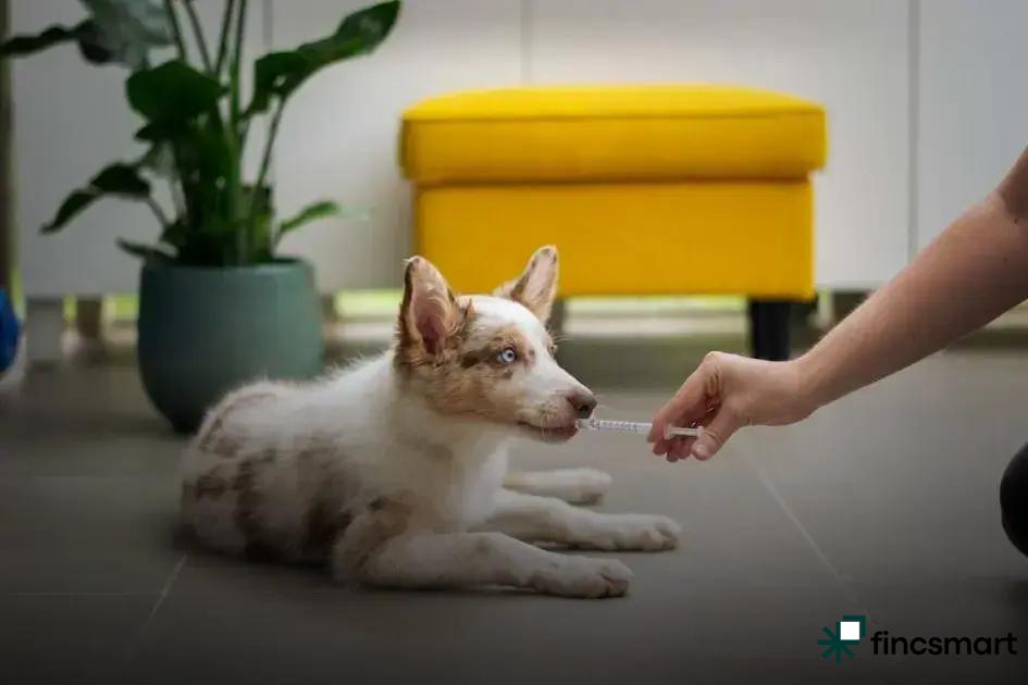 Choosing the Right Filtration System