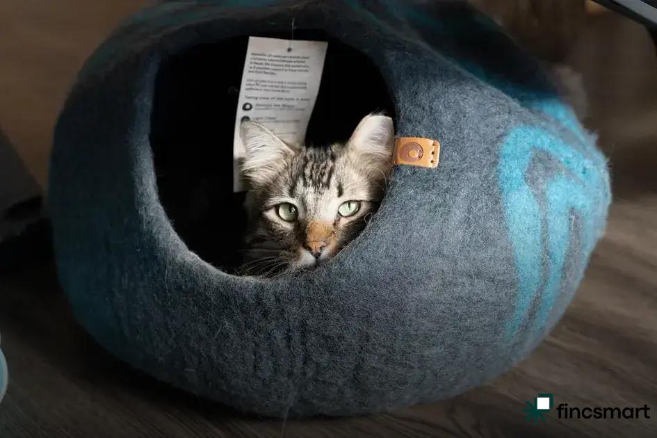 Choosing the Right Lighting Setup