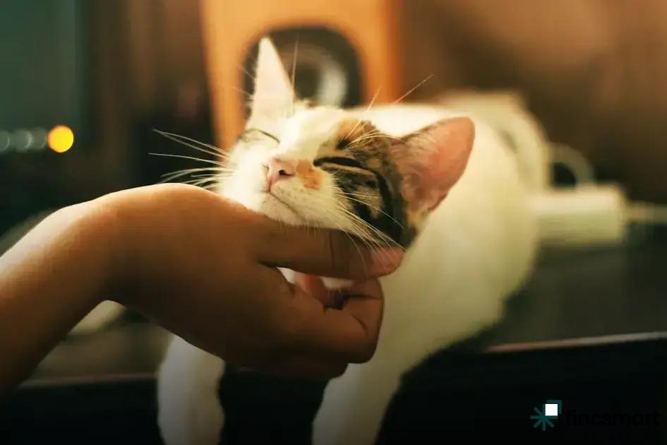 Common Dog Health Issues and Prevention: Essential Tips Revealed