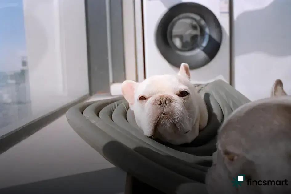 Consistent Commands and Rewards