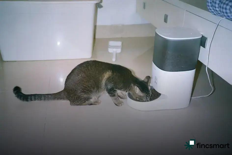 Creating a Safe Environment for Feeding