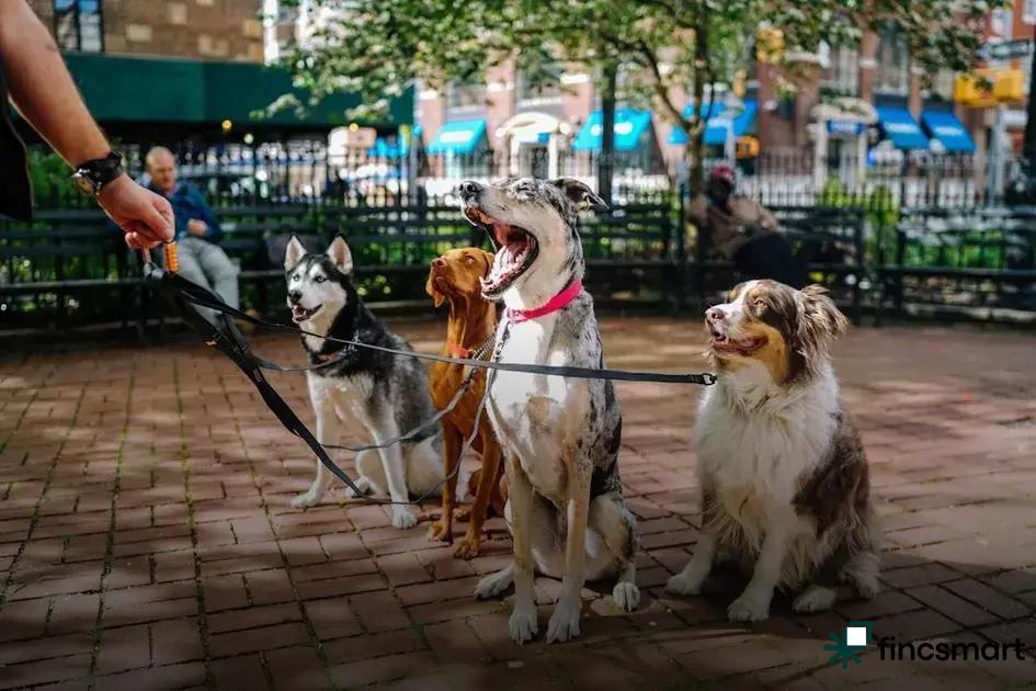 DIY Mental Stimulation