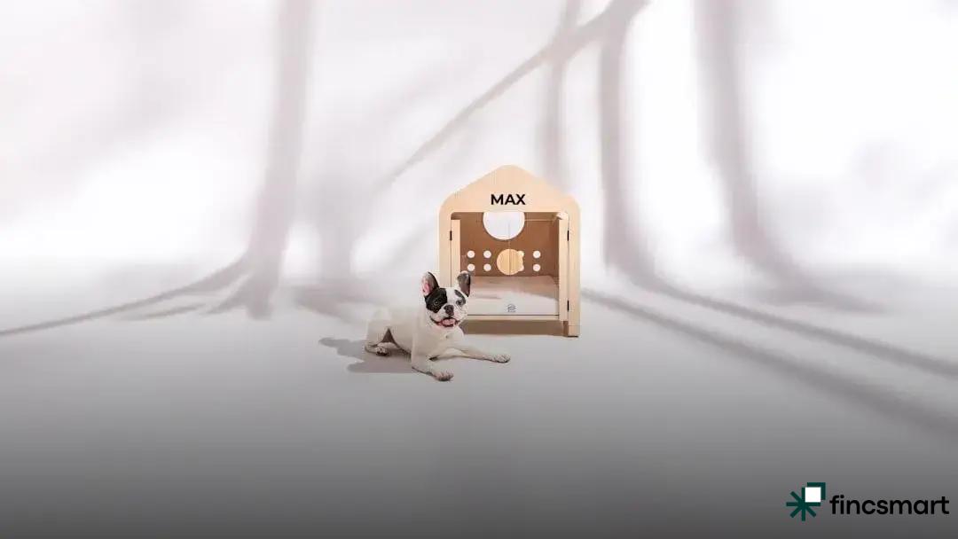 Eco-Friendly Cleaning Products for Pets