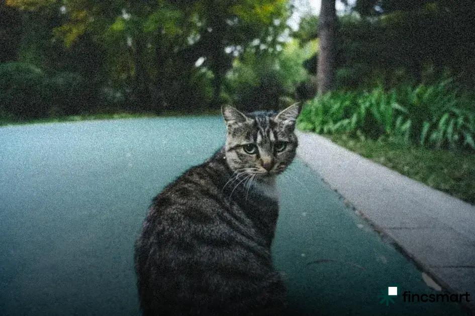 Eco-Friendly Grooming Solutions