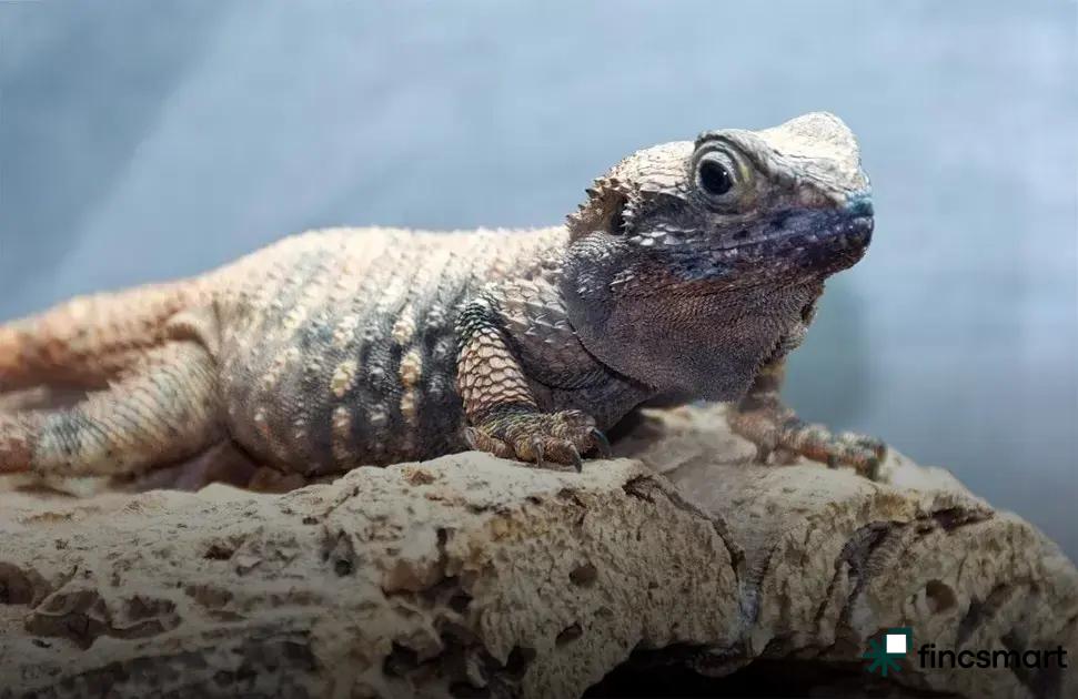 Eco-Friendly Materials