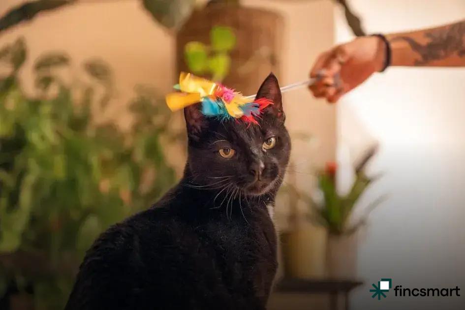 Essential Diet and Nutrition for Guinea Pigs