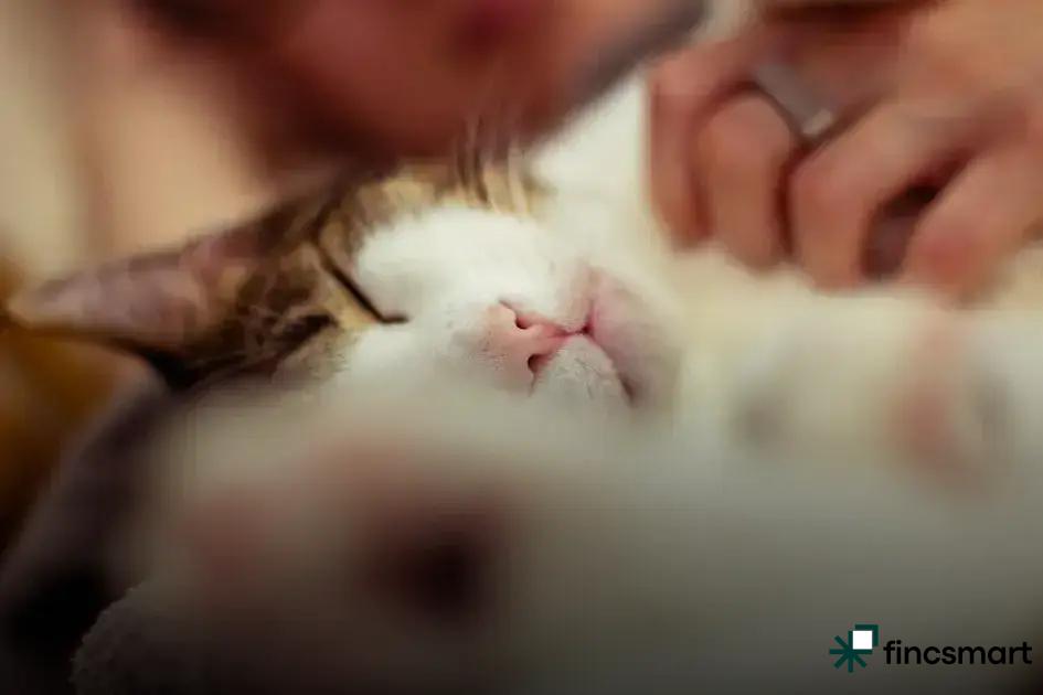 Essential Packing List for Small Pets