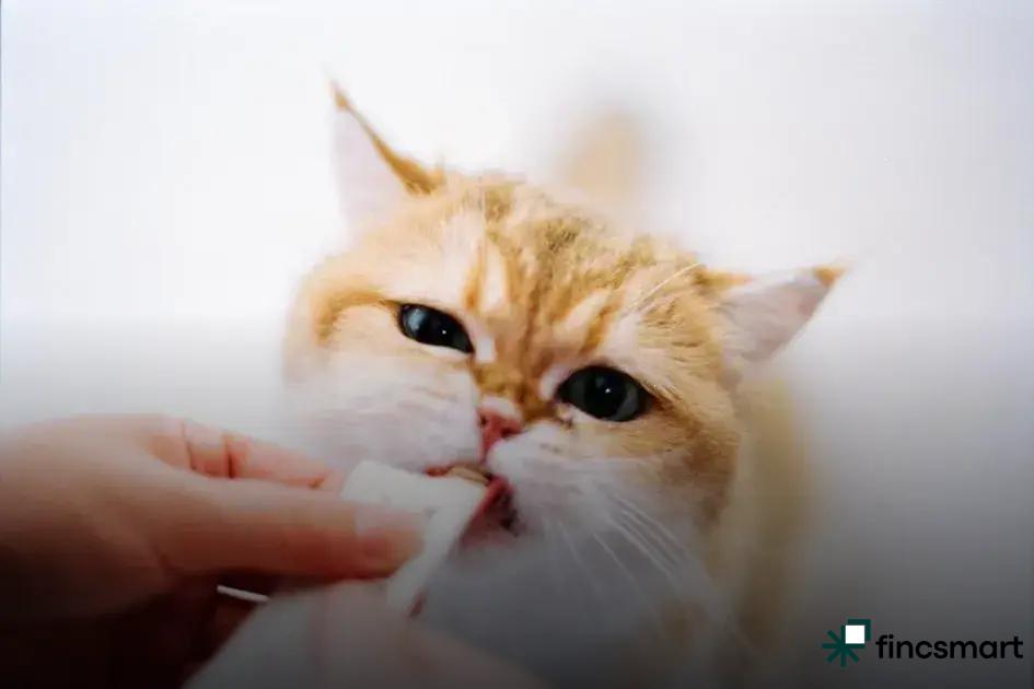 Essential Tools for Aquatic Gardening