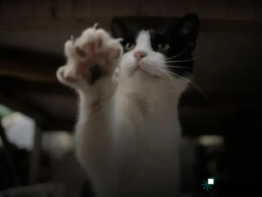 Feeding Schedules for Aquarium Fish: Essential Tips Revealed