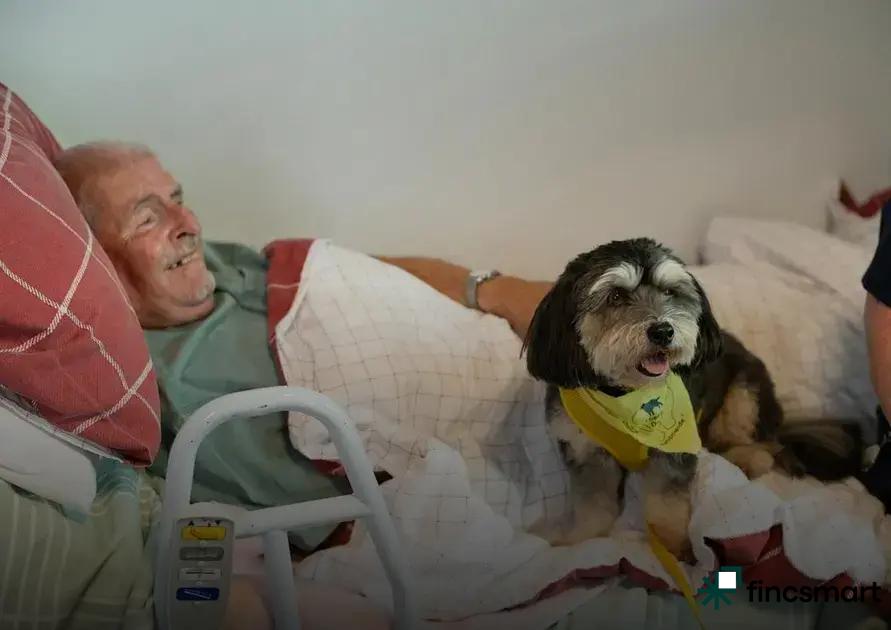 Future Trends in the Pet Industry: What's on the Horizon?