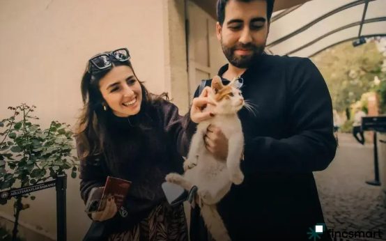 How to Cycle an Aquarium Properly: Essential Guide and Tips