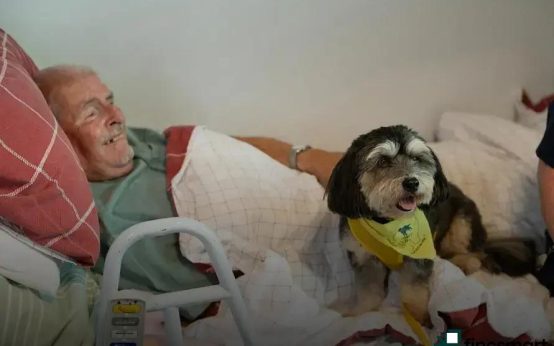 How to Reduce Pet Anxiety: Effective Strategies That Work