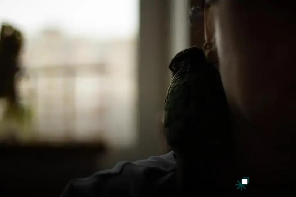 Legal Requirements and Restrictions