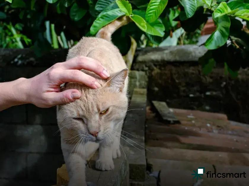 Materials and Durability