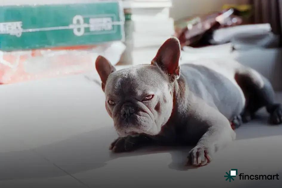 Materials Matter: What to Look For