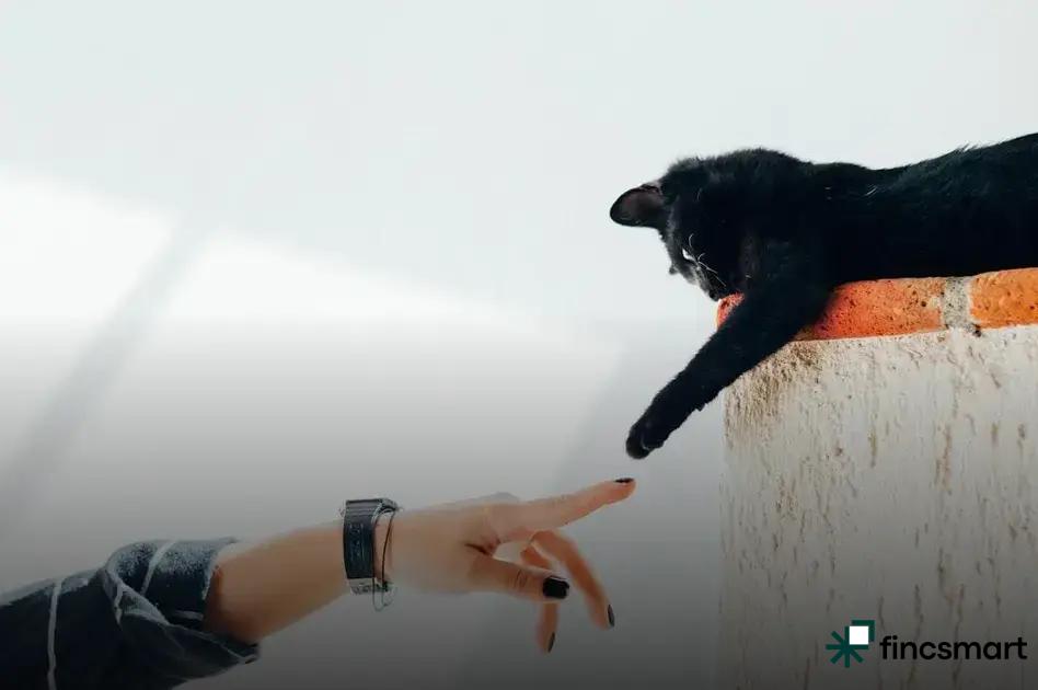 Natural Remedies for Pet Parasites