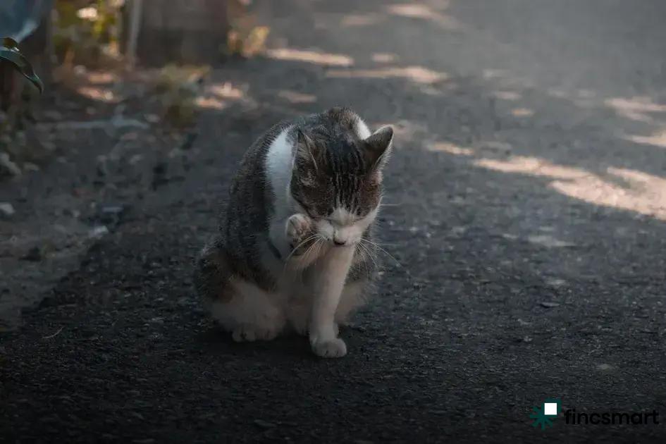 Nutritional Deficiencies