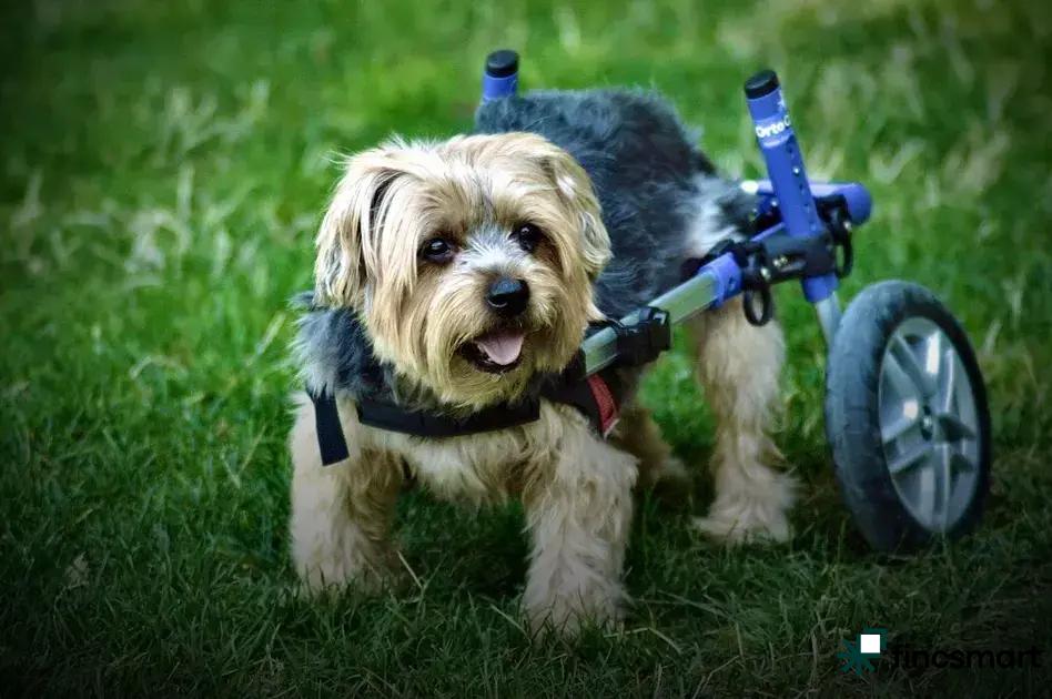 Product Variety and Availability