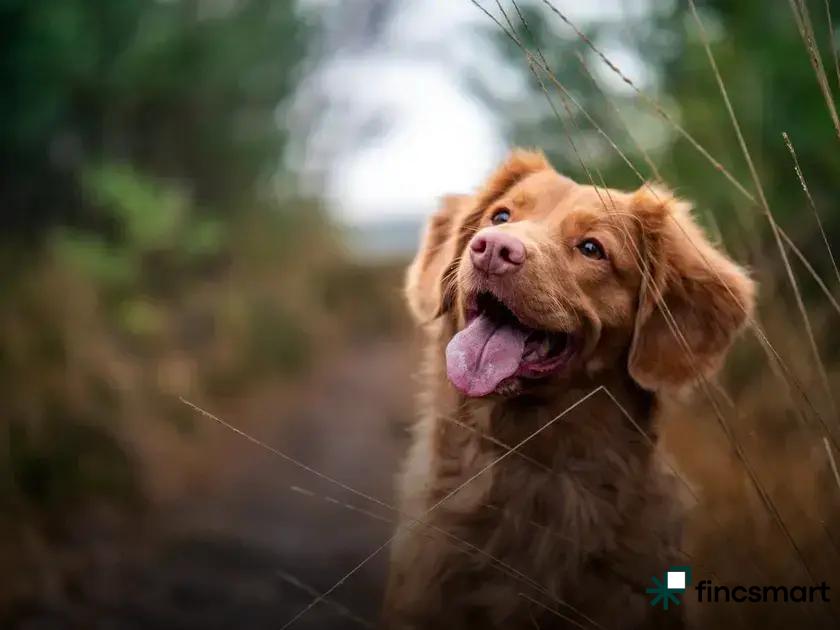 Proper Watering Techniques