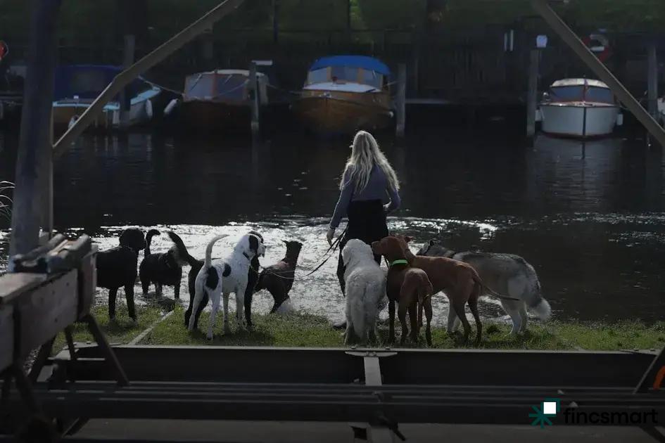 Recognizing Cat Behavioral Patterns