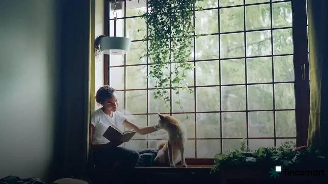 Tips for Maintaining Your Dog