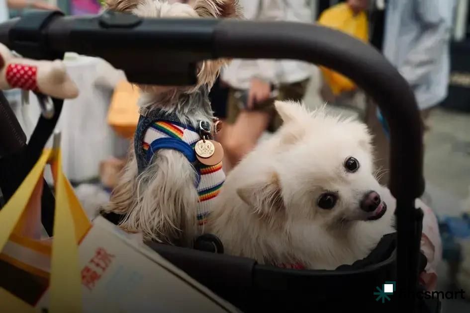 Top Ingredients to Look For