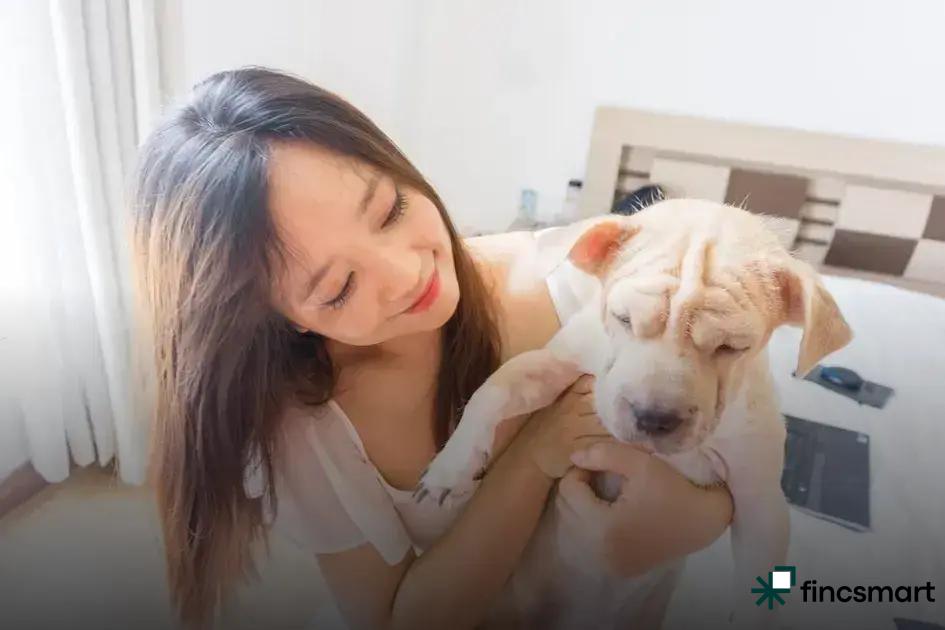 Types of Aquariums Available